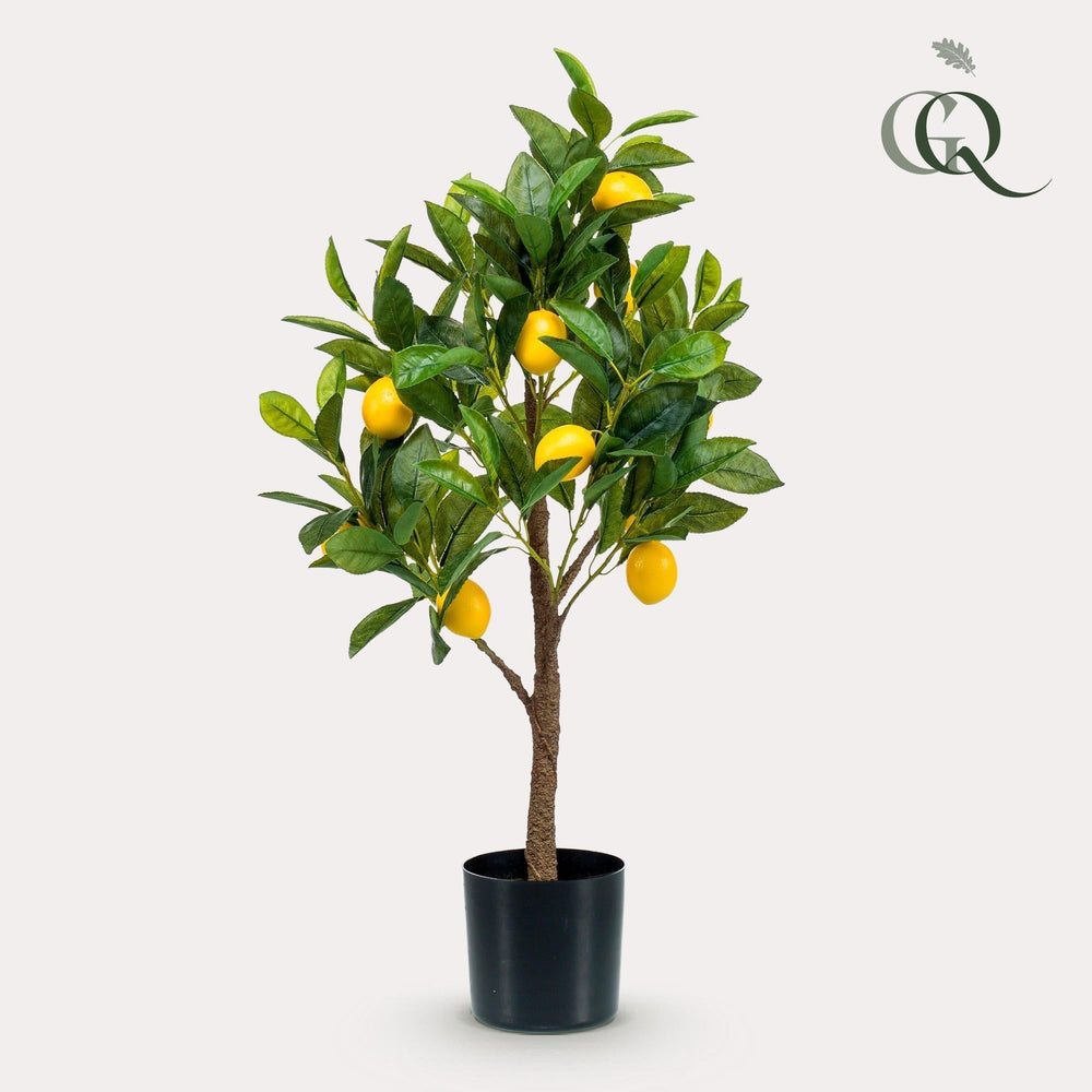 Citrus Limonia - Zitronenbaum - 72 cm - kunstpflanze-Plant-Botanicly