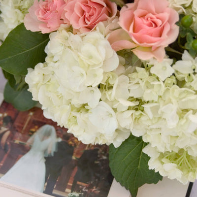 Hortensie (Hydrangea The Bride® White Macrophylla) - Nachhaltige Zimmerpflanzen kaufen Botanicly Foto 4